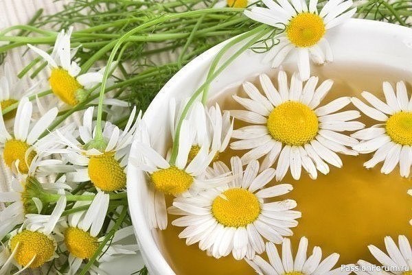 Секреты красоты. Ополаскиваем волосы травами