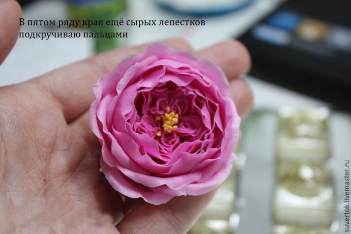 Английская роза из холодного фарфора