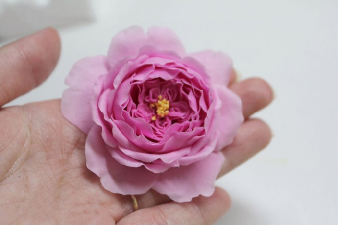 Английская роза из холодного фарфора