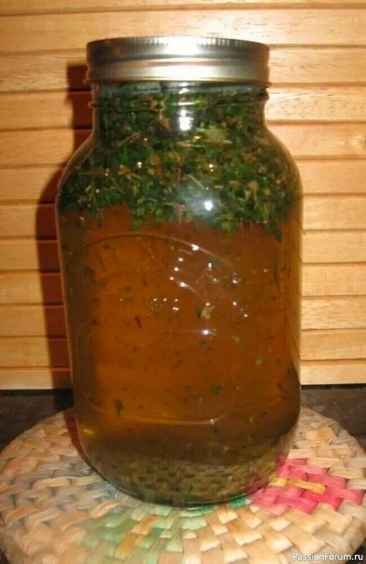 Горькая полынь очищает тело