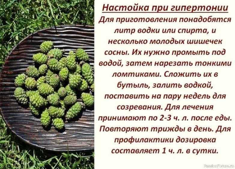 Лечение кедpовыми орeхами — 5 рецептов Лечение кедpовыми орeхами — 5 рецептов