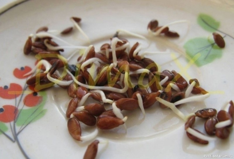 Проростки льна для желудка и кишечника Проростки льна для желудка и кишечника