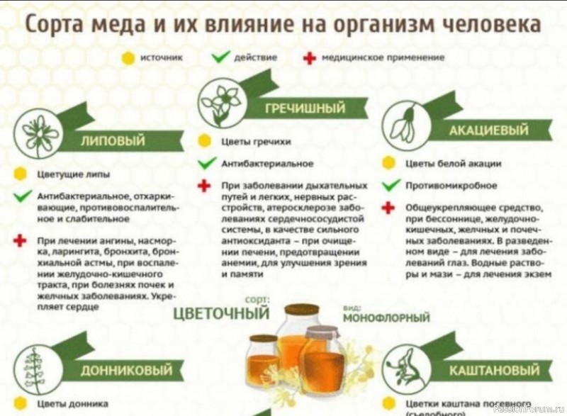 Сорта меда и их влияние на организм