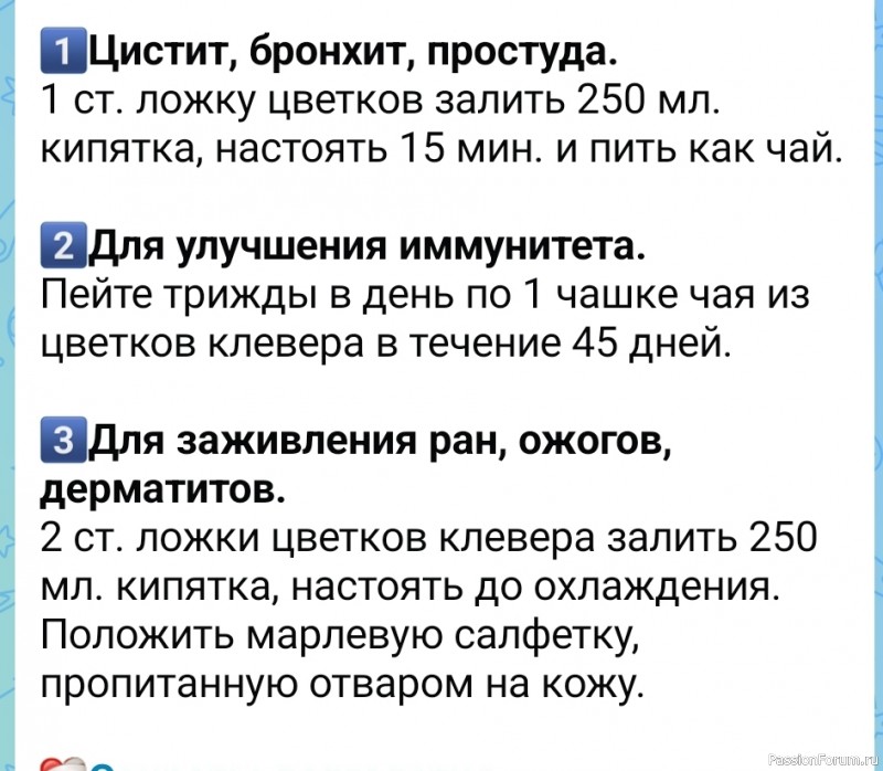 Народные средства. Три способа лечения клевером