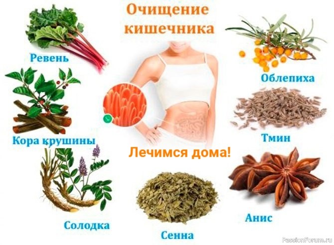 Лекарственные Травы для Здоровья Кишечни