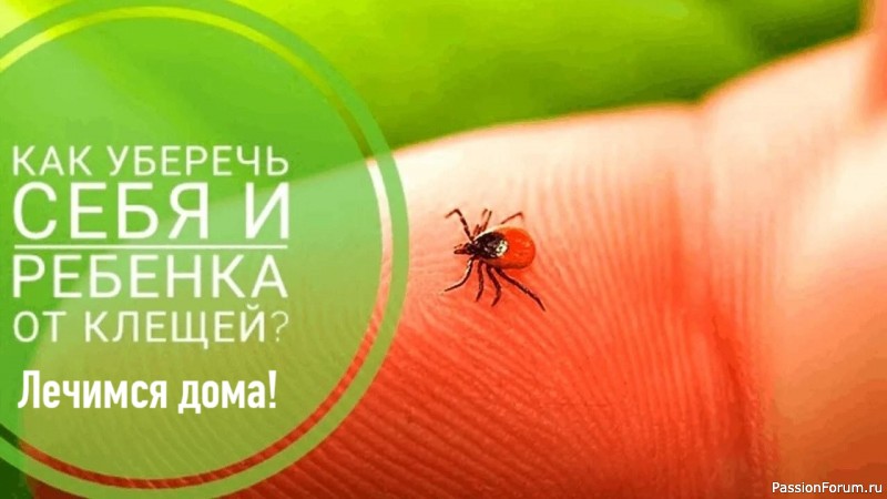 Как Защитить Себя от Клещей Без Химии? 5 проверенных народных средства