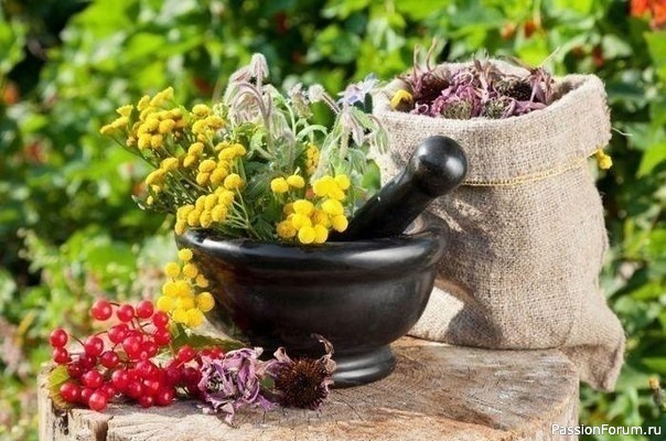 Укрепление сосудов народными средствами