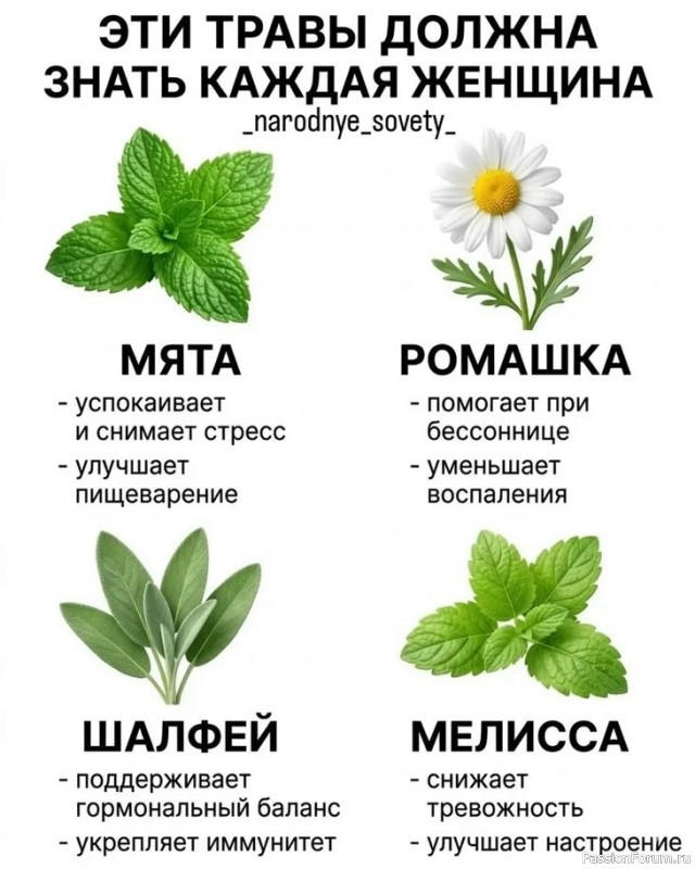 Травы, которые должна знать каждая женщина