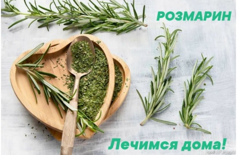 Розмарин. Сила средиземноморской травы