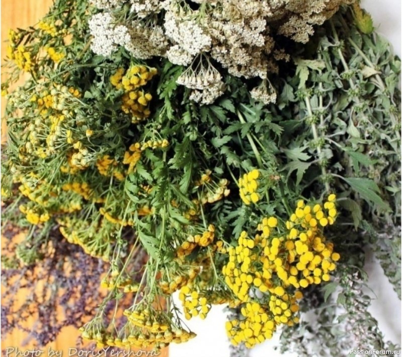 Сироп для печени, почек и ЖКТ