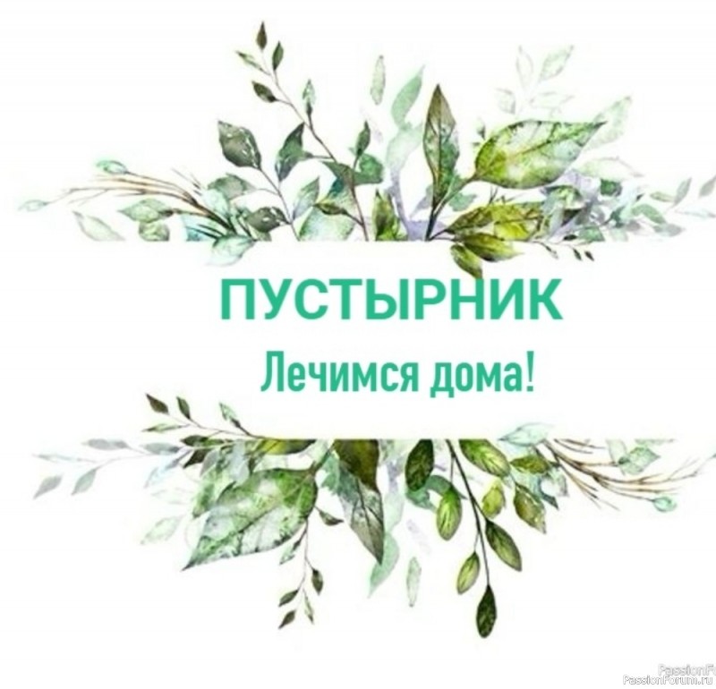 Народная медицина. Пустырник (Сердечник)