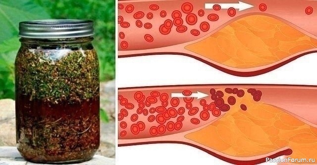 Укроп, мед, валериана для сосудов