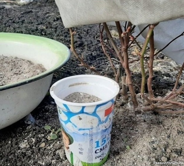 Для кaких paстeний нужно использовaть золу. Дачникам на заметку