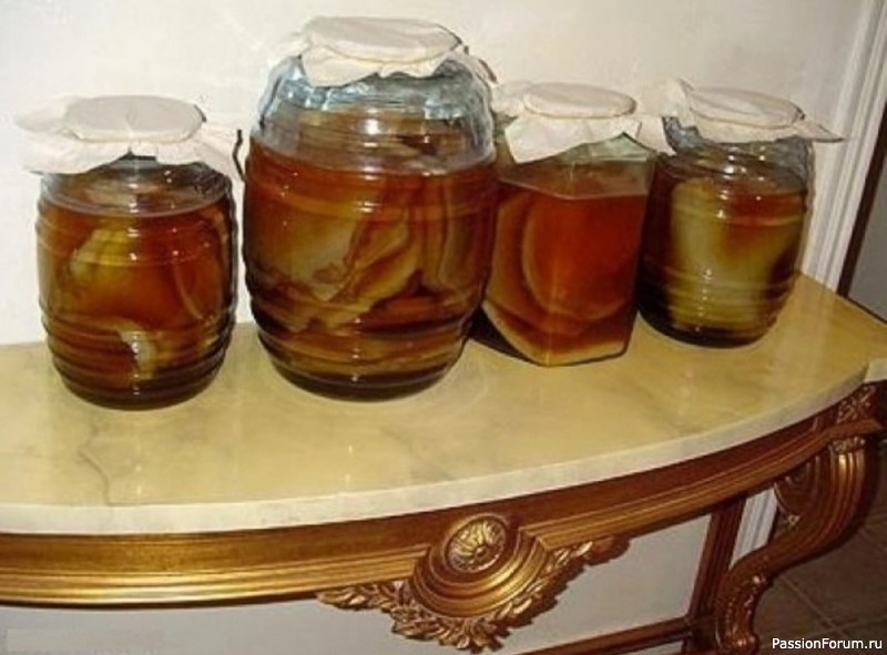 Польза чайного гриба