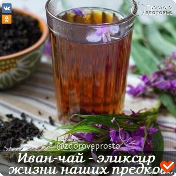 Польза Иван-чая