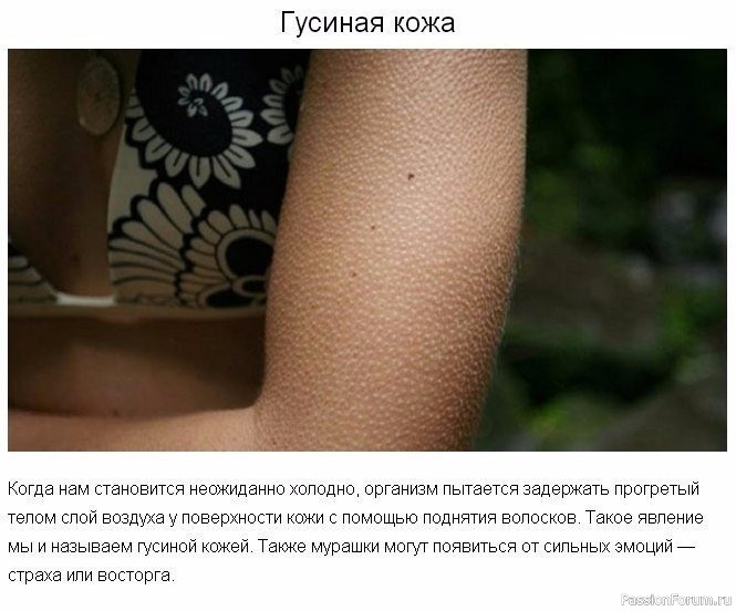 9 странных вещей, которые делает тело для нашей защиты 9 странных вещей, которые делает тело для нашей защиты