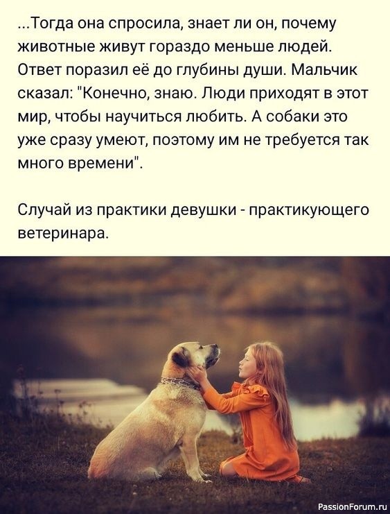 Почему животные живут гораздо меньше людей...