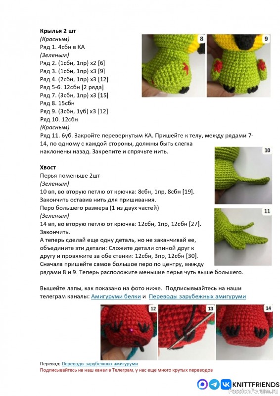 Птенец попугая крючком. СК