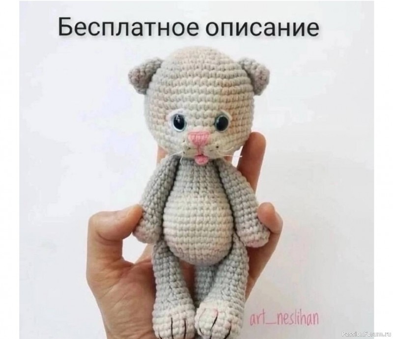 Котята с выразительными глазами крючком. МК