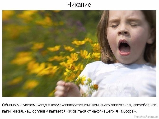 9 странных вещей, которые делает тело для нашей защиты 9 странных вещей, которые делает тело для нашей защиты