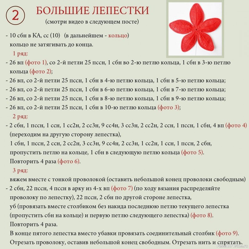 Пуансеттия крючком. МК