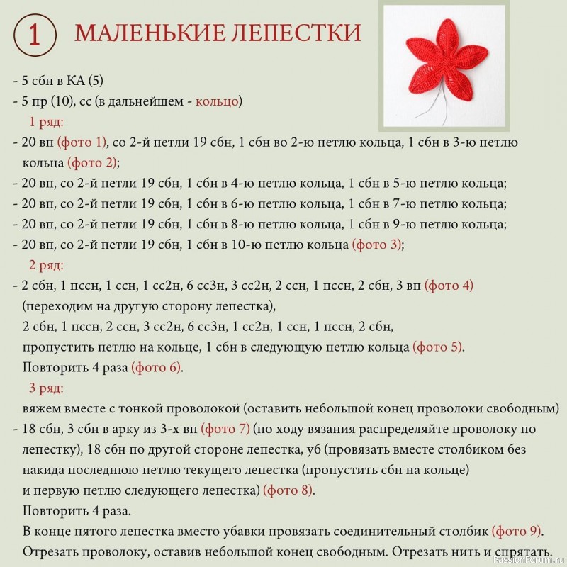 Пуансеттия крючком. МК