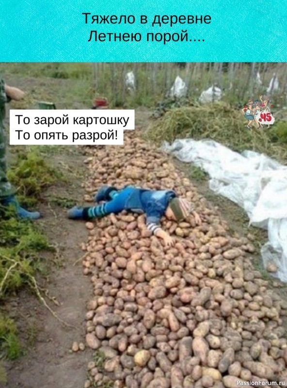 Дачники, готовьтесь!