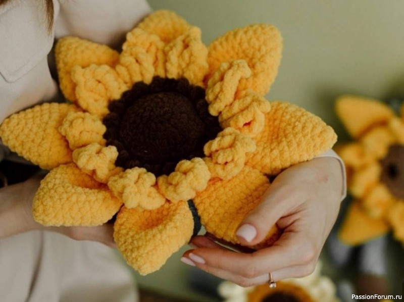 Подсолнух крючком. МК