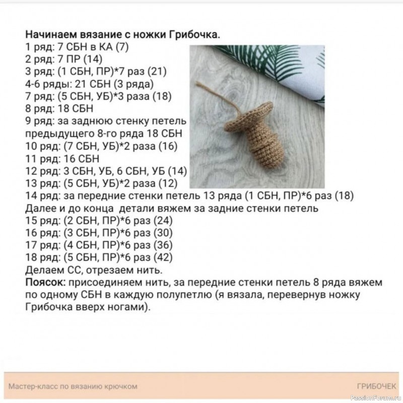 Гриб Мухомор крючком. МК