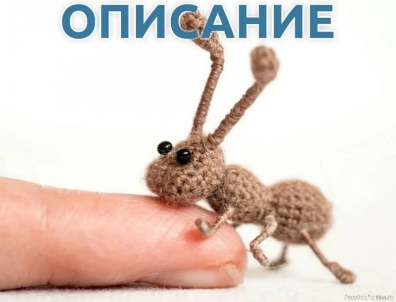 Муравей крючком. МК Муравей крючком. МК