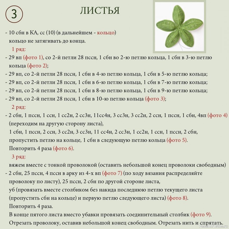 Пуансеттия крючком. МК