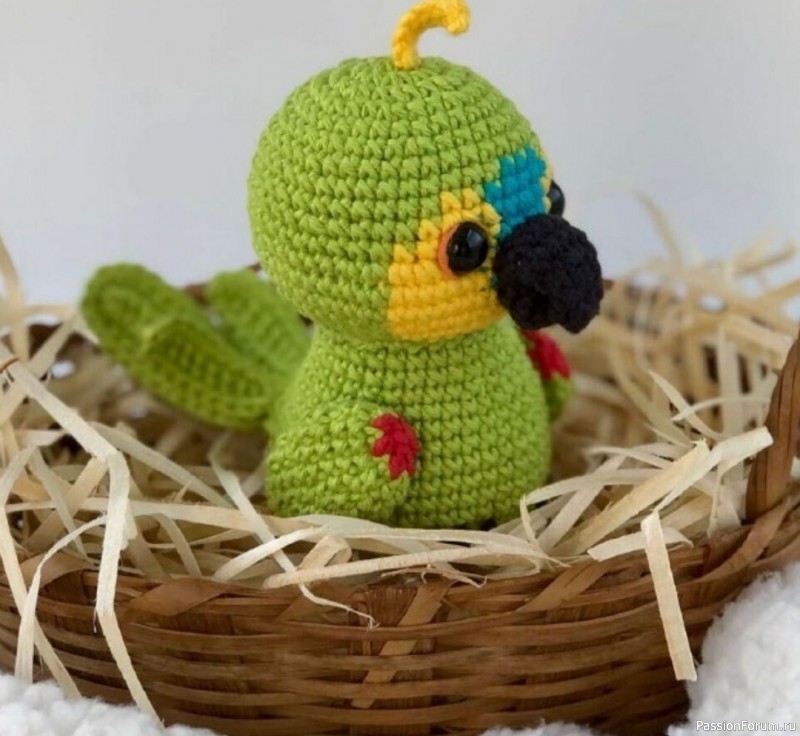 Птенец попугая крючком. СК