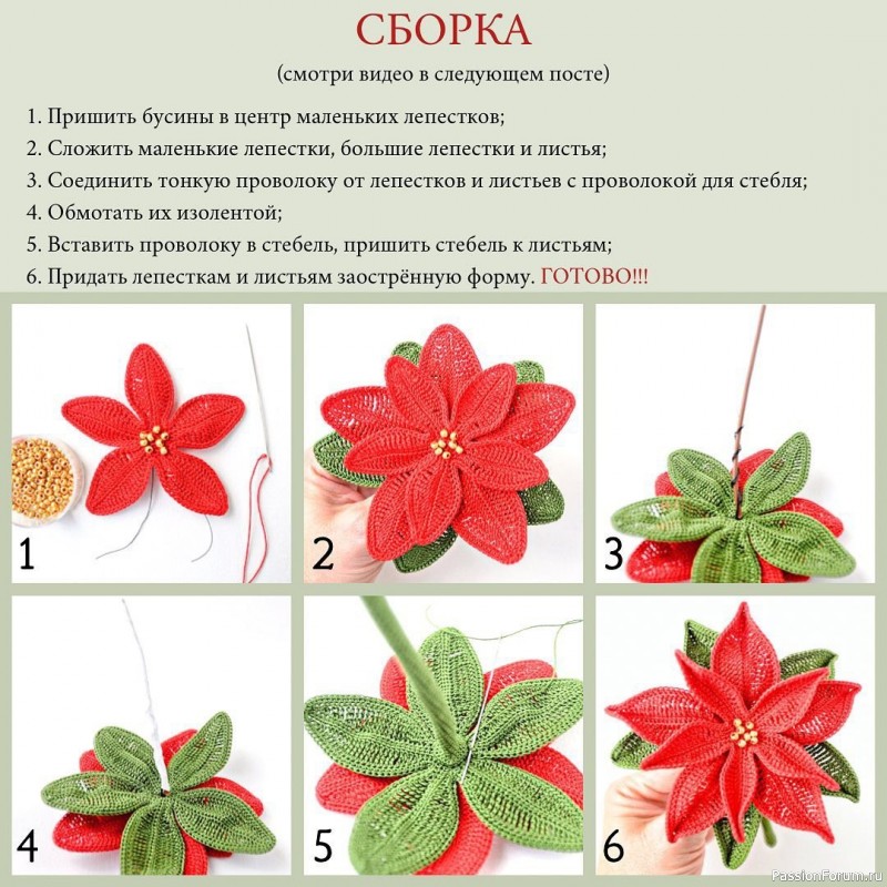 Пуансеттия крючком. МК