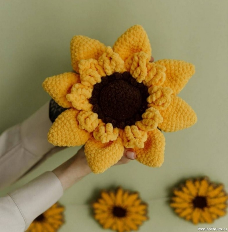 Подсолнух крючком. МК