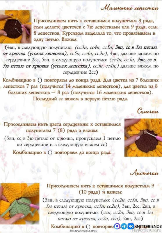 Подсолнух крючком. МК