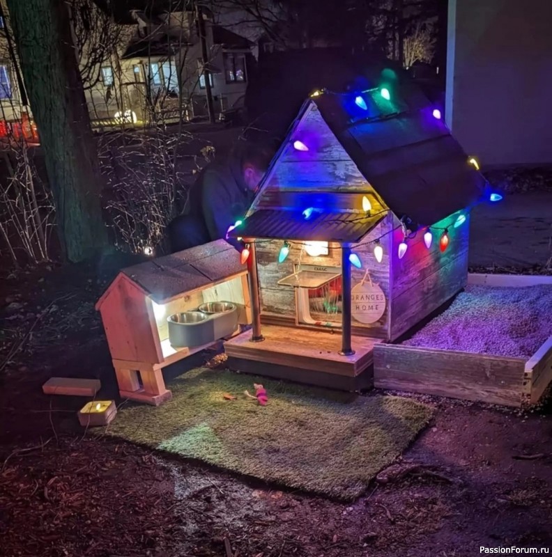 Пара построила для бездомного кота настоящий дом с подогревом