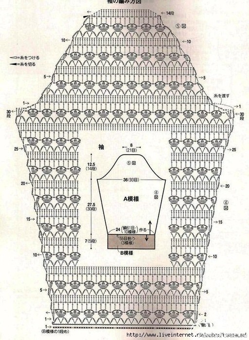 Красный жакет. Схема