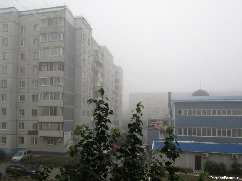 Утро туманное и не только...