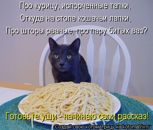 Без кота и жизнь не та.(или часть четвертая)