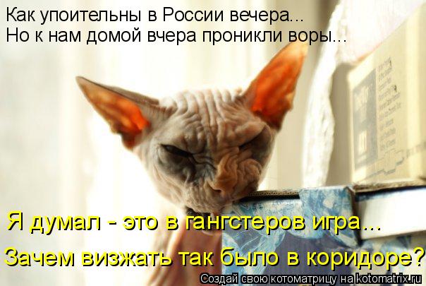 И опять для вас коты нереальной смехоты.