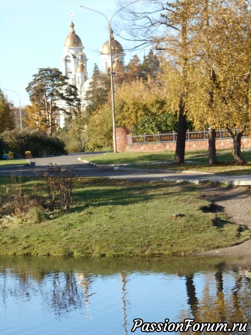 Золотая осень в городском парке ( Нижний Тагил)