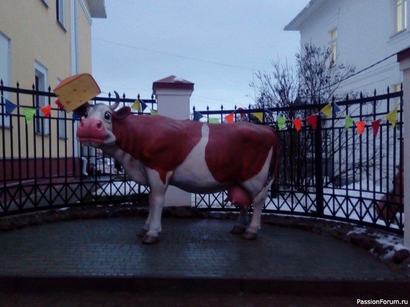 Сыр бывает разный. Музей сыра в Костроме.