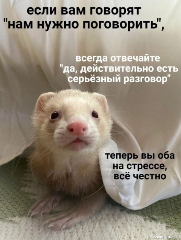 Для поднятия настроения.