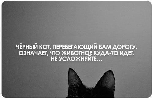 Юмор в картинках ( 2 часть)