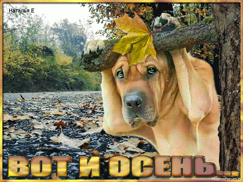 Ветер и Осень.