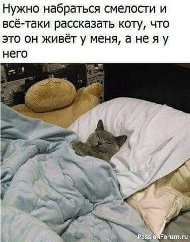 Кто в доме главный?