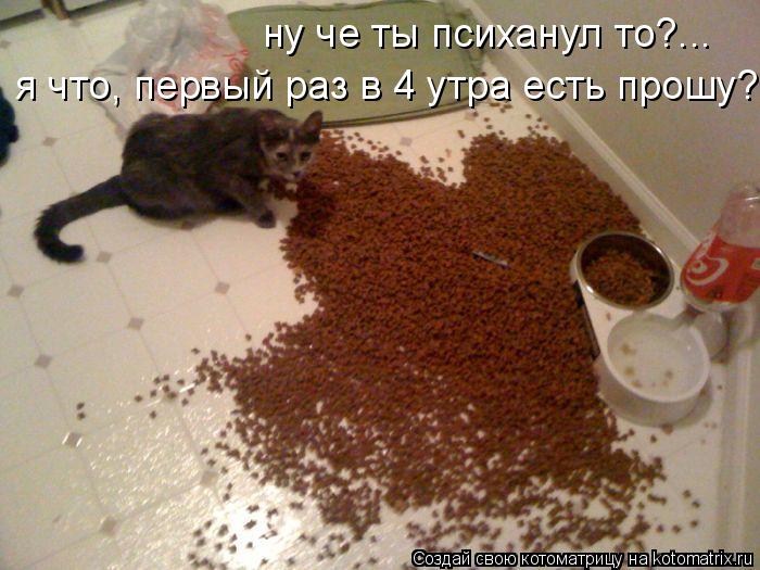 Я ОБИДЕЛСЯ.