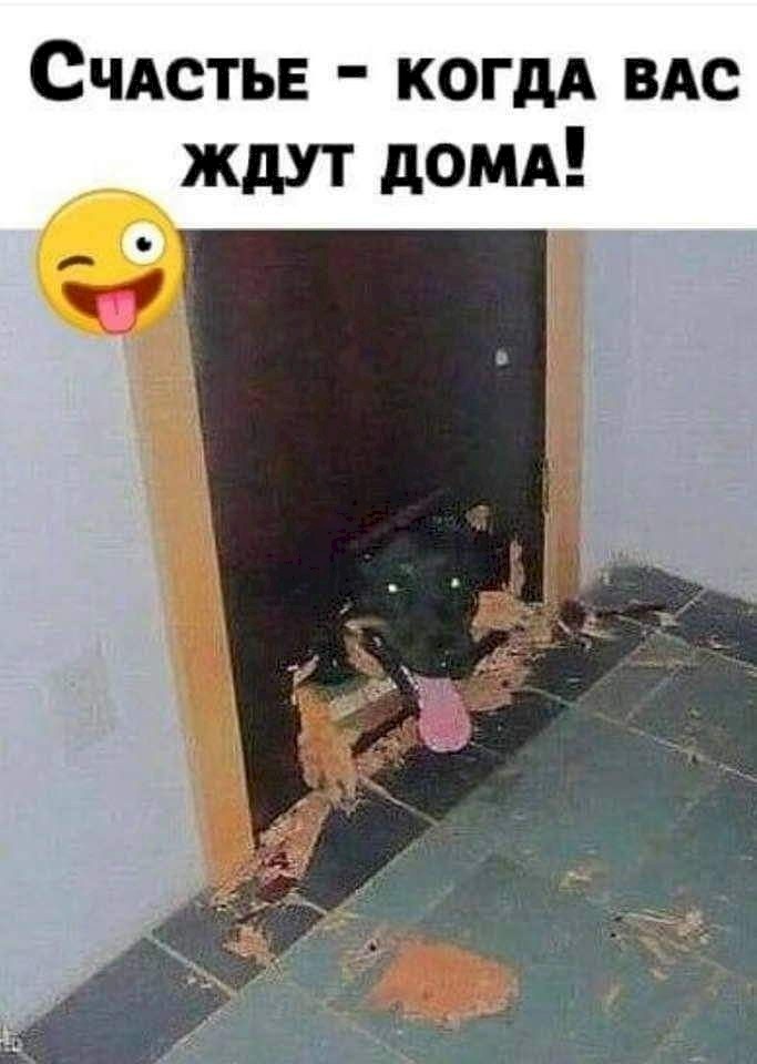 Ваше счастье ждёт вас