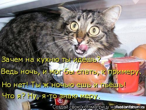 Почему кошек нельзя бить...