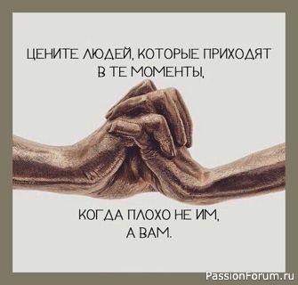 Фраза дня